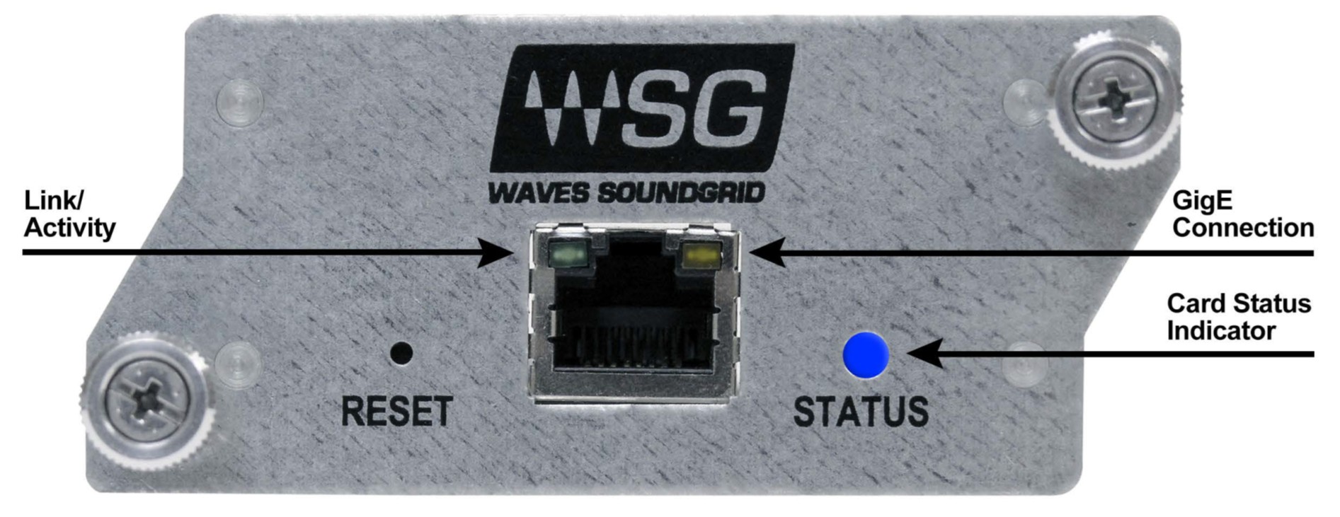 WSG Card Drawing